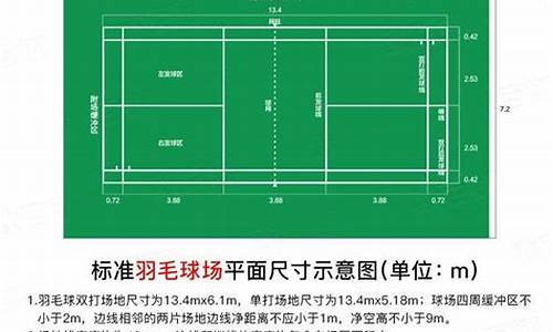 羽毛球场地尺寸标准尺寸图单打_羽毛球场地尺寸 标准