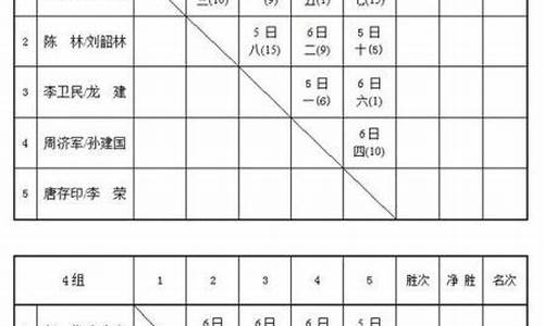 羽毛球比赛大循环赛制_羽毛球循环赛制比赛方法