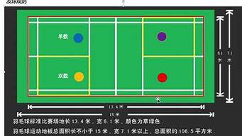 奥运会羽毛球赛制规则_奥运会羽毛球赛制规则是什么